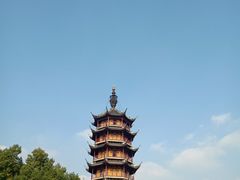 景点-红梅公园