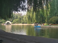 -团结湖公园