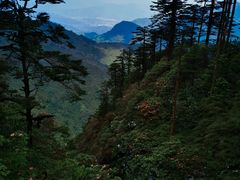 -瓦屋山景区