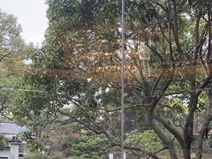 -浙江西子宾馆·瑶园咖啡厅