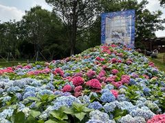 -武汉园博园(武汉自然博物馆)