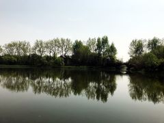 -溱湖国家湿地公园