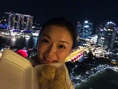 -新加坡瑞士史丹福酒店