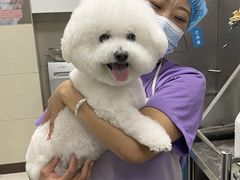 -北京观赏动物医院·24小时大型综合·猫专科·异宠专科