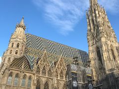 -斯蒂芬主教座堂(Stephansdom)