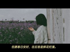 -紫颐香薰山谷景区