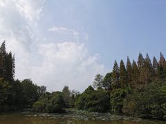 -东平国家森林公园
