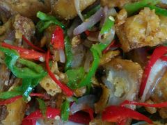 -一撮毛美食城(全力一路店)