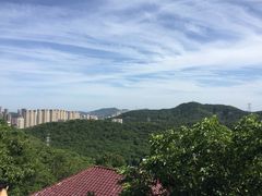 -富斯特索道