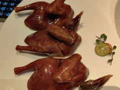润烧玻璃乳鸽-东富酒家(龙湖西溪天街店)