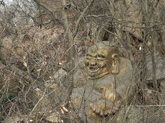 -紫金山山顶公园