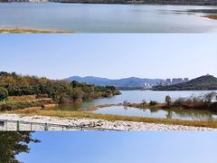 -立新湖公园