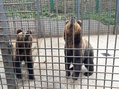 -水上乐园·欢乐世界