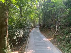 -上海佘山国家森林公园西佘山园