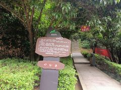 -桃花岭景区