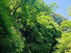 -少华山国家森林公园
