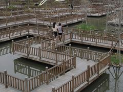 -五缘湾湿地公园