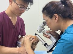 -美联众合动物医院·24h京西诊疗中心