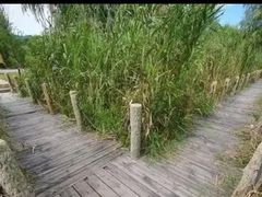 -门城湖公园