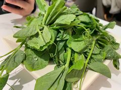 -四川简阳羊肉汤火锅(金台路店)