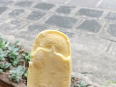 -YLK云南小粒咖啡·云里咖(二号店)