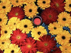 -松赞拉萨林卡酒店