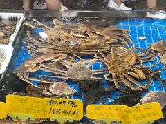 -船奇蒸汽海鲜·闽菜(八市海鲜总店)