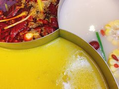 -青瓷火锅料理(西单大悦城店)