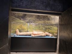 -亳州博物馆