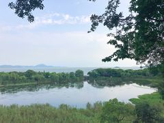 -上海市保健医疗中心(华东疗养院)
