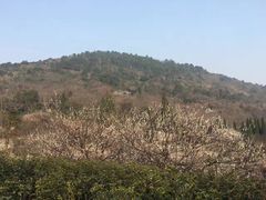 -缥缈峰景区