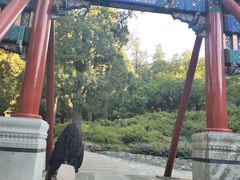 -香山公园-东宫门售票处