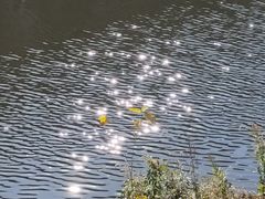 -杭州师范大学(下沙校区)