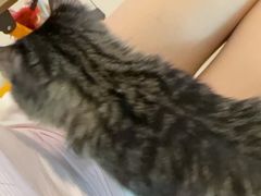 -平行世界·猫咖(首经贸店)