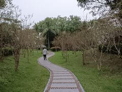 -深圳湾公园(南山区)