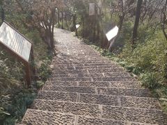 -杭州半山国家森林公园