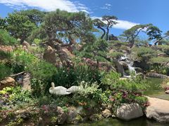 -罗红摄影艺术馆