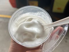 -洪馨椰子