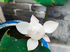 -西安市广仁寺
