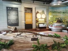 -自贡恐龙博物馆