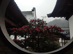-天台山景区