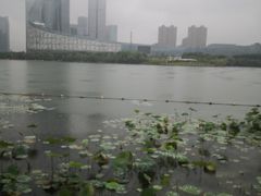 -天鹅湖体育公园