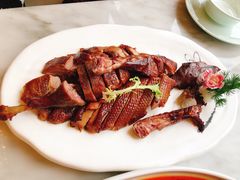 樟茶鸭-陈麻婆豆腐总店
