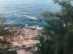 -广东惠东海龟国家级自然保护区