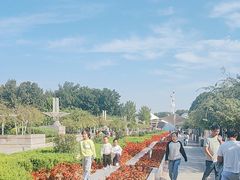 -石家庄市植物园