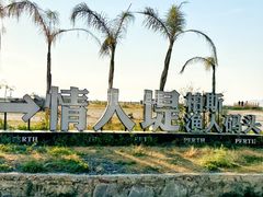 -广东惠东海龟国家级自然保护区