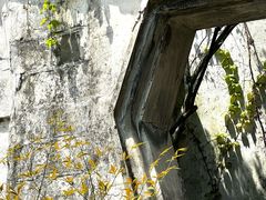 -宁波市保国寺古建筑博物馆