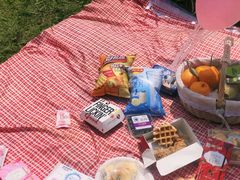 -铁山坪森林公园