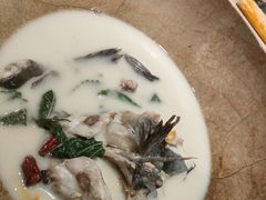 蒸汽长江黑洄鱼-滇小鱼·云南野生菌火锅(上杭路店)