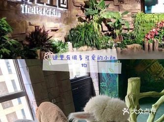 六一我们去哪玩？了解一下萌宠王国吧让孩子认识一下小动物